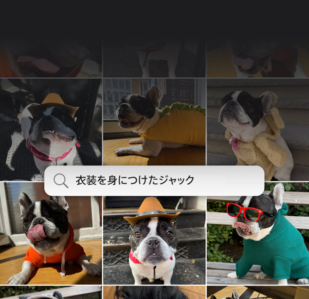機(jī)能のデモ。自然な言葉づかいでの寫真の検索。寫真アプリ內(nèi)に検索クエリーと「顔にステッカーを貼ったKatie」というフレーズの検索結(jié)果が表示されている