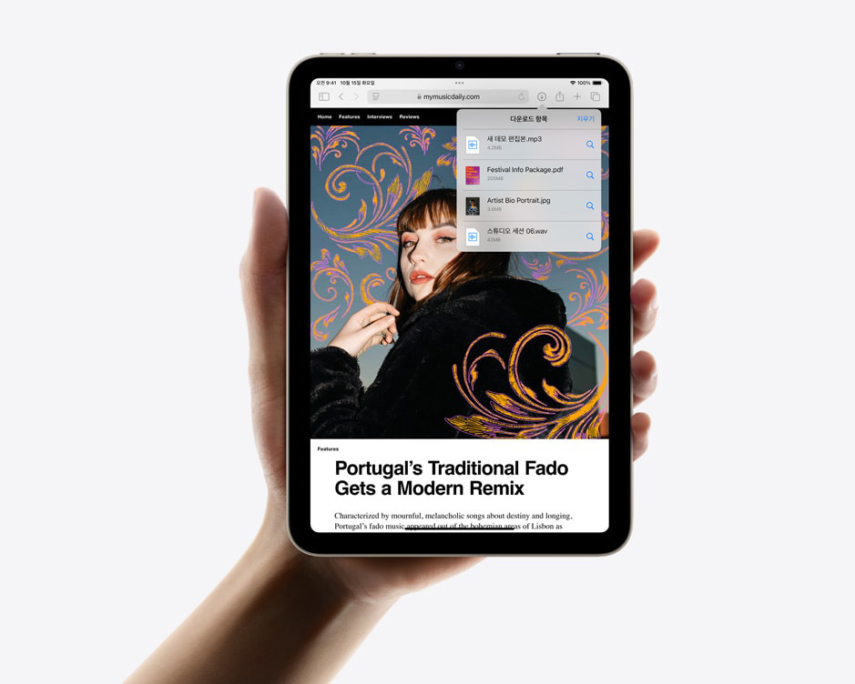 ?? ?? iPad mini? ? ?? ?? ???? ?? Safari? ???? ??? ???? ??.